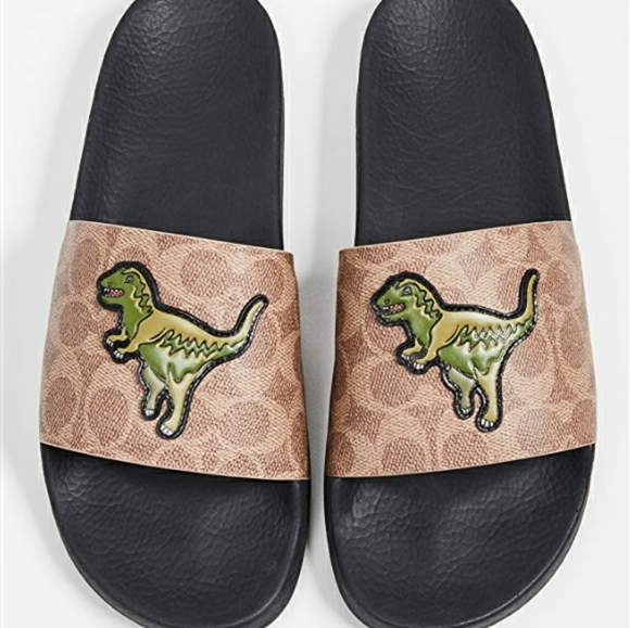 new coach slides